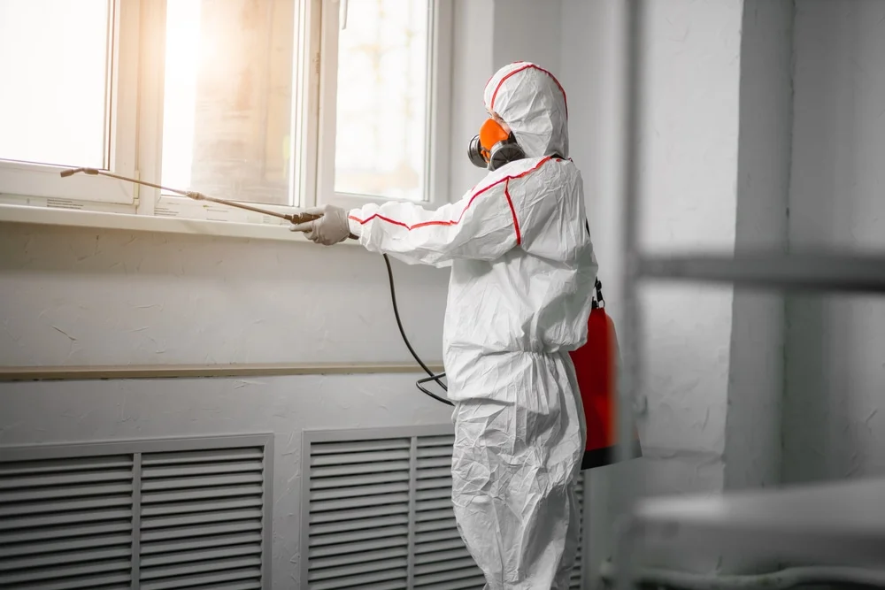 Professional mold remediation services in Mirror Lake, NH